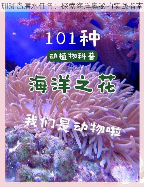 珊瑚岛潜水任务：探索海洋奥秘的实践指南