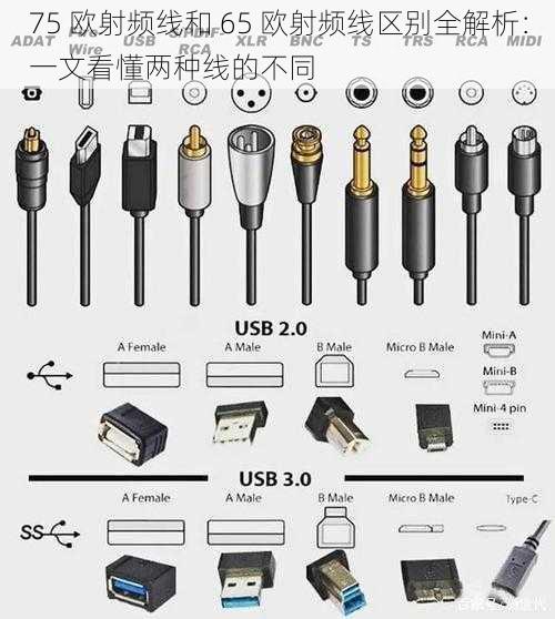 75 欧射频线和 65 欧射频线区别全解析：一文看懂两种线的不同