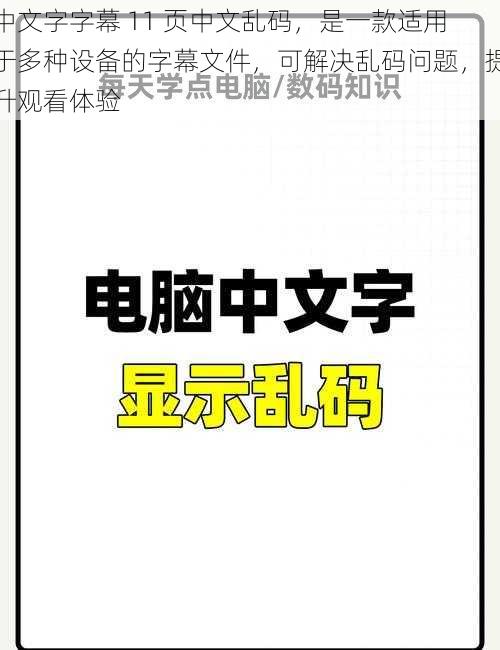 中文字字幕 11 页中文乱码，是一款适用于多种设备的字幕文件，可解决乱码问题，提升观看体验