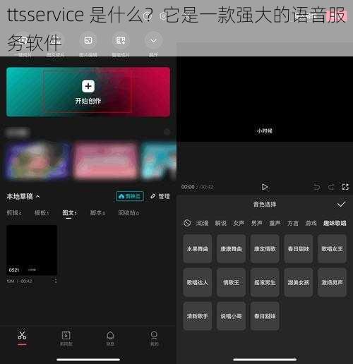 ttsservice 是什么？它是一款强大的语音服务软件