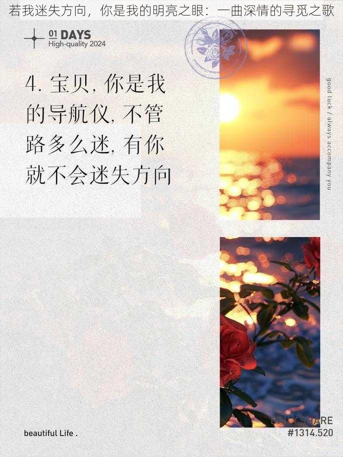 若我迷失方向，你是我的明亮之眼：一曲深情的寻觅之歌