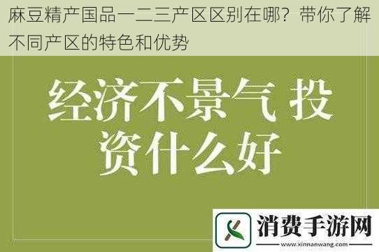 麻豆精产国品一二三产区区别在哪？带你了解不同产区的特色和优势