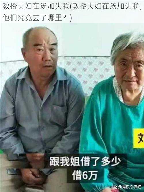 教授夫妇在汤加失联(教授夫妇在汤加失联，他们究竟去了哪里？)