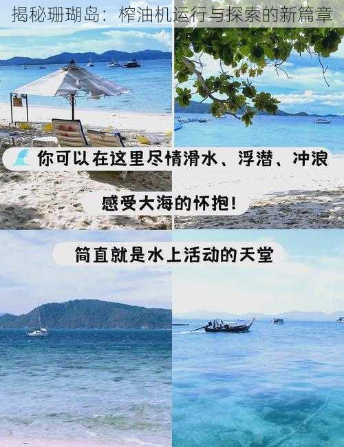 揭秘珊瑚岛：榨油机运行与探索的新篇章