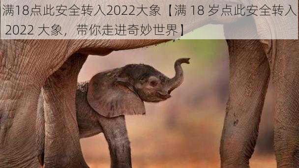 满18点此安全转入2022大象【满 18 岁点此安全转入 2022 大象，带你走进奇妙世界】