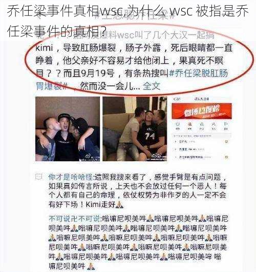 乔任梁事件真相wsc,为什么 wsc 被指是乔任梁事件的真相？