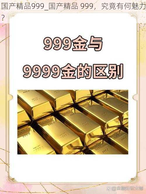 国产精品999_国产精品 999，究竟有何魅力？