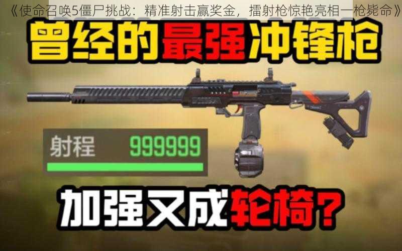 《使命召唤5僵尸挑战：精准射击赢奖金，擂射枪惊艳亮相一枪毙命》