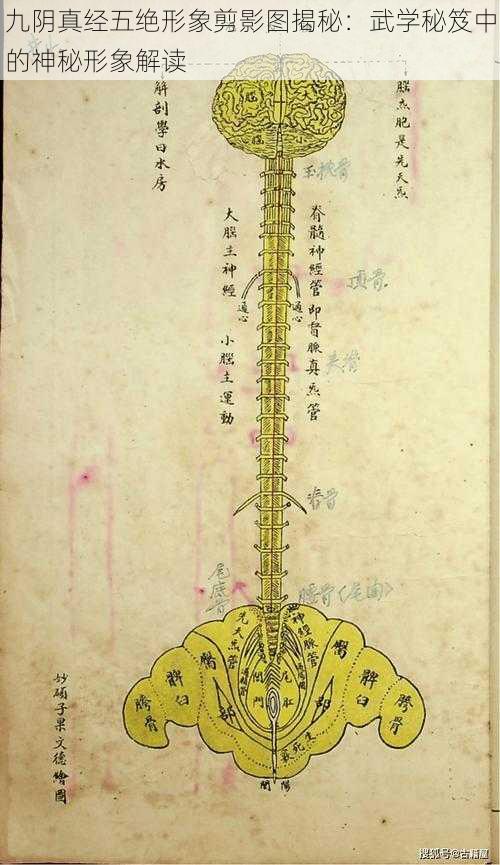 九阴真经五绝形象剪影图揭秘：武学秘笈中的神秘形象解读