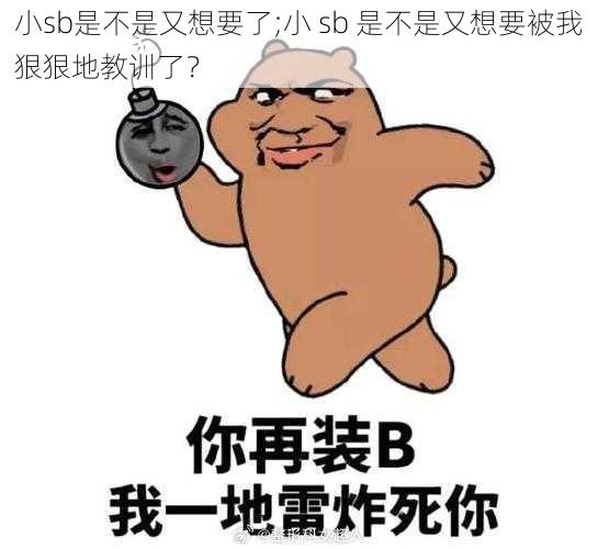 小sb是不是又想要了;小 sb 是不是又想要被我狠狠地教训了？