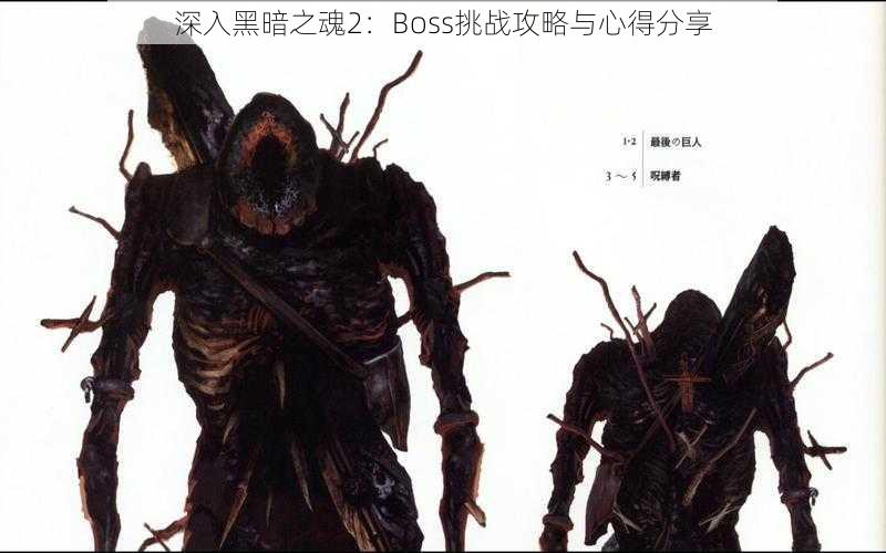 深入黑暗之魂2：Boss挑战攻略与心得分享