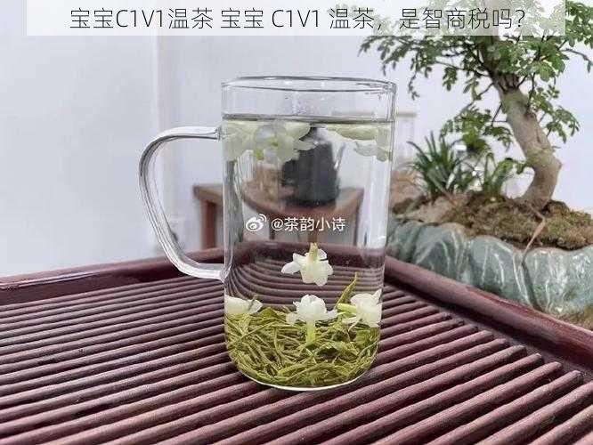 宝宝C1V1温茶 宝宝 C1V1 温茶，是智商税吗？