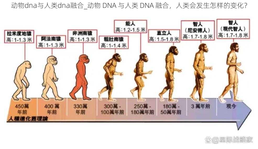 动物dna与人类dna融合_动物 DNA 与人类 DNA 融合，人类会发生怎样的变化？