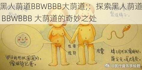 黑人荫道BBWBBB大荫道;：探索黑人荫道 BBWBBB 大荫道的奇妙之处