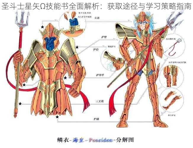 圣斗士星矢Ω技能书全面解析：获取途径与学习策略指南