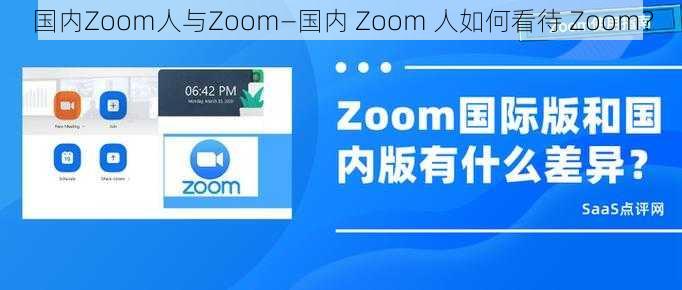 国内Zoom人与Zoom—国内 Zoom 人如何看待 Zoom？