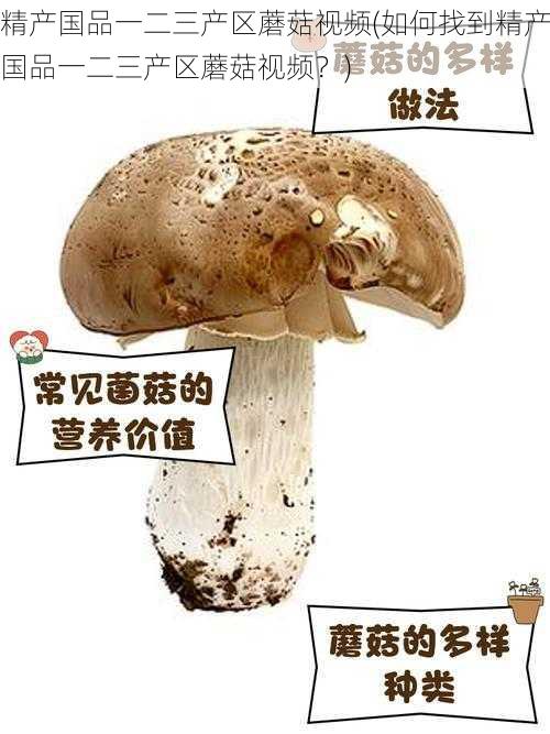 精产国品一二三产区蘑菇视频(如何找到精产国品一二三产区蘑菇视频？)