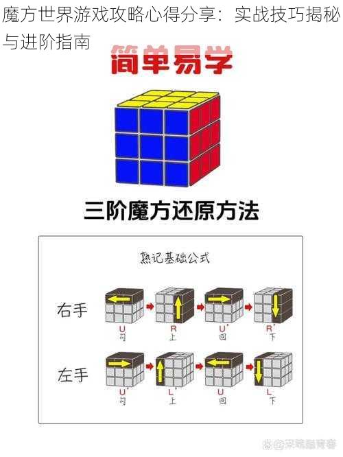 魔方世界游戏攻略心得分享：实战技巧揭秘与进阶指南