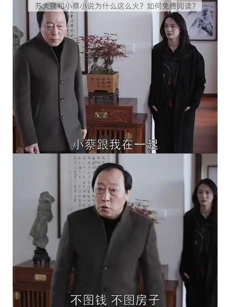 苏大强和小蔡小说为什么这么火？如何免费阅读？