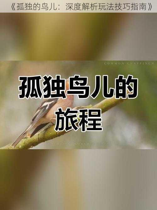 《孤独的鸟儿：深度解析玩法技巧指南》