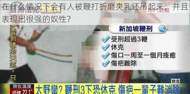 在什么情况下会有人被鞭打折磨夹乳还吊起来，并且表现出很强的奴性？