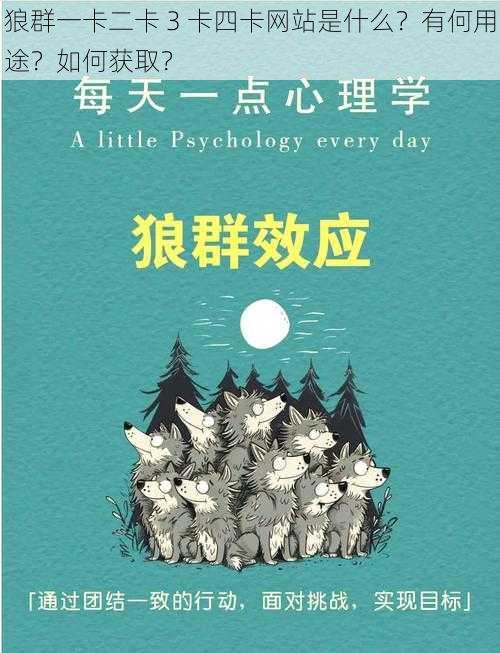 狼群一卡二卡 3 卡四卡网站是什么？有何用途？如何获取？