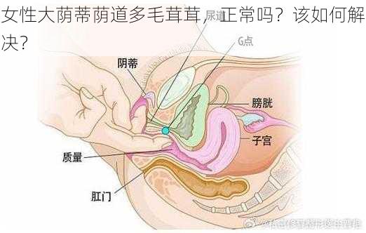 女性大荫蒂荫道多毛茸茸，正常吗？该如何解决？