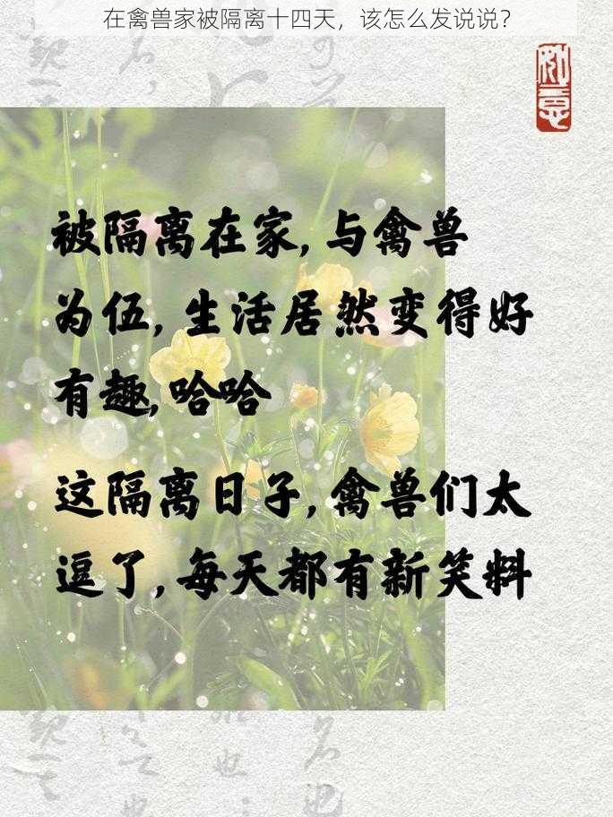 在禽兽家被隔离十四天，该怎么发说说？