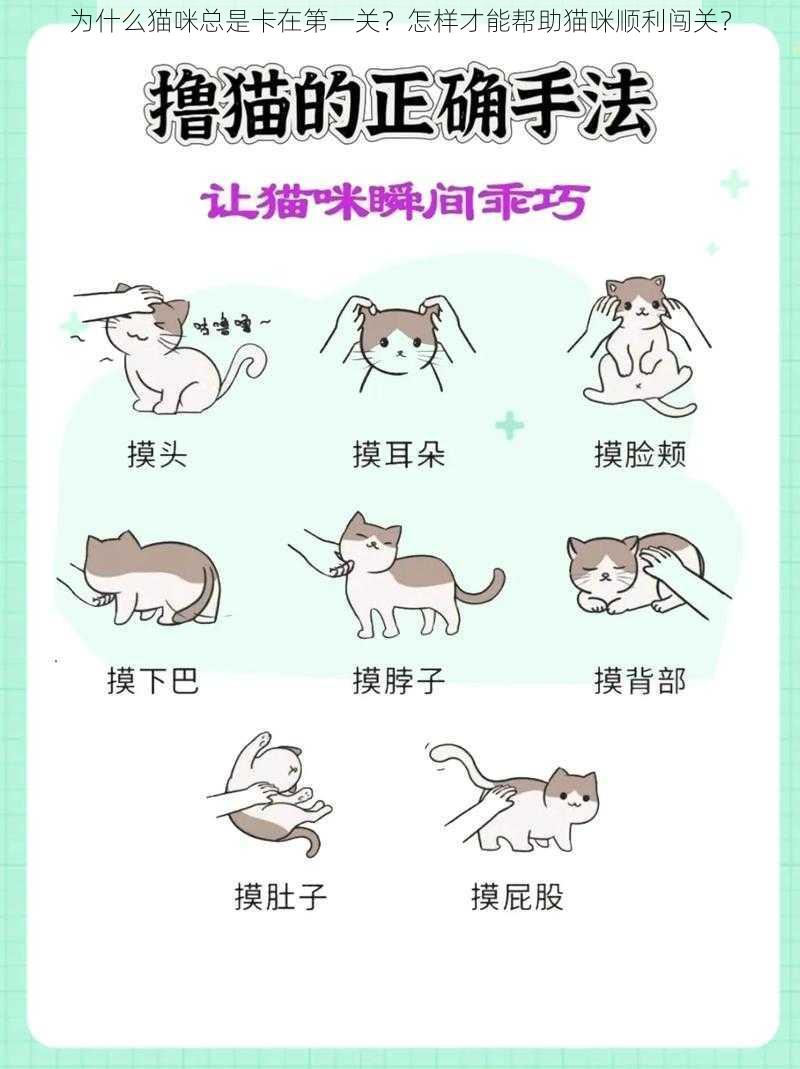 为什么猫咪总是卡在第一关？怎样才能帮助猫咪顺利闯关？