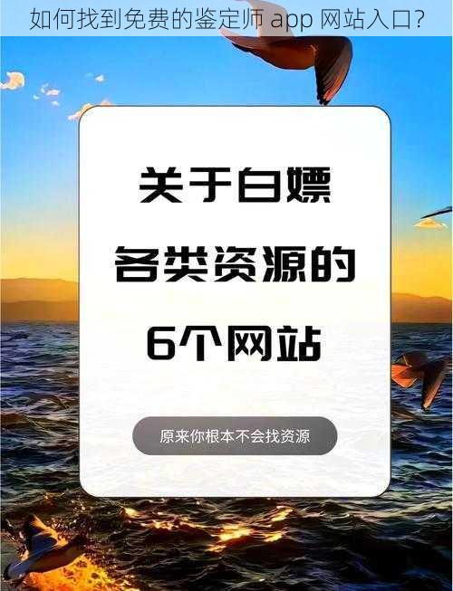 如何找到免费的鉴定师 app 网站入口？