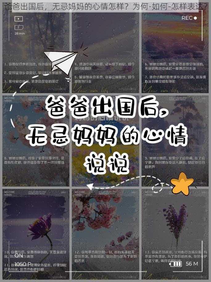 爸爸出国后，无忌妈妈的心情怎样？为何-如何-怎样表达？