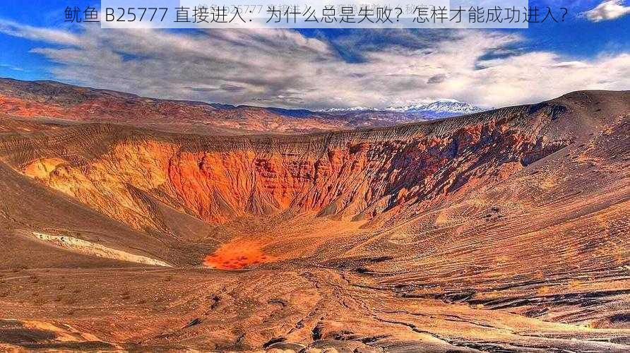 鱿鱼 B25777 直接进入：为什么总是失败？怎样才能成功进入？