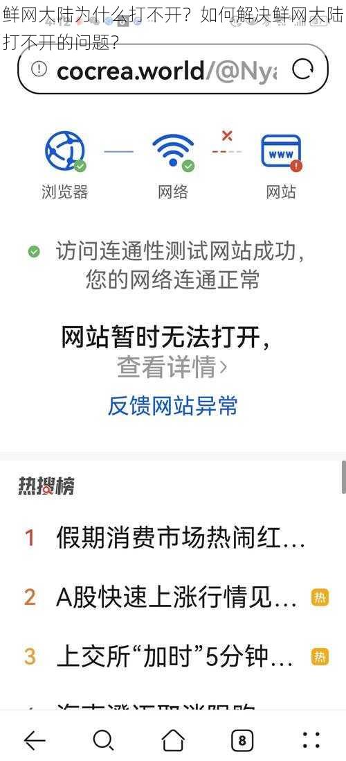 鲜网大陆为什么打不开？如何解决鲜网大陆打不开的问题？