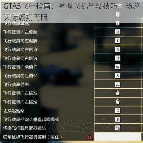 GTA5飞行指南：掌握飞机驾驶技巧，畅游天际翱翔无阻