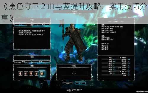 《黑色守卫 2 血与蓝提升攻略：实用技巧分享》