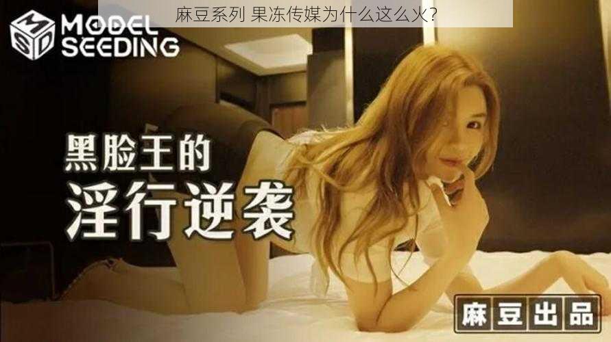 麻豆系列 果冻传媒为什么这么火？