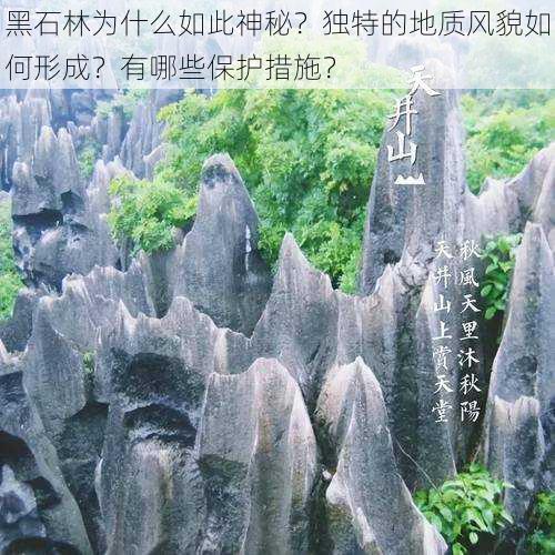 黑石林为什么如此神秘？独特的地质风貌如何形成？有哪些保护措施？