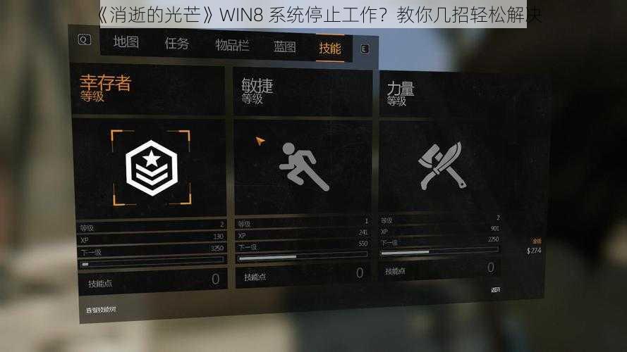 《消逝的光芒》WIN8 系统停止工作？教你几招轻松解决