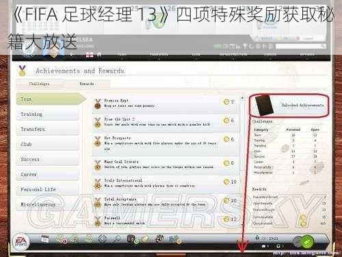 《FIFA 足球经理 13》四项特殊奖励获取秘籍大放送