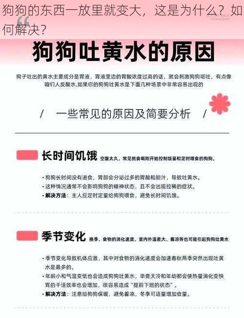 狗狗的东西一放里就变大，这是为什么？如何解决？