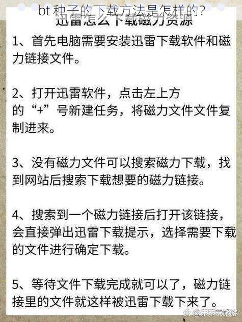 bt 种子的下载方法是怎样的？