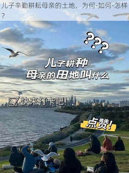 儿子辛勤耕耘母亲的土地，为何-如何-怎样？