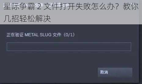 星际争霸 2 文件打开失败怎么办？教你几招轻松解决