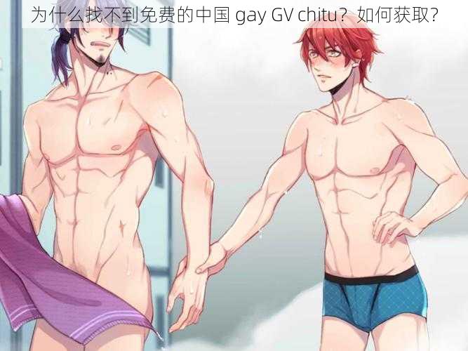 为什么找不到免费的中国 gay GV chitu？如何获取？