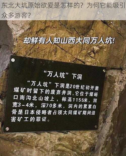 东北大坑原始欲爱是怎样的？为何它能吸引众多游客？