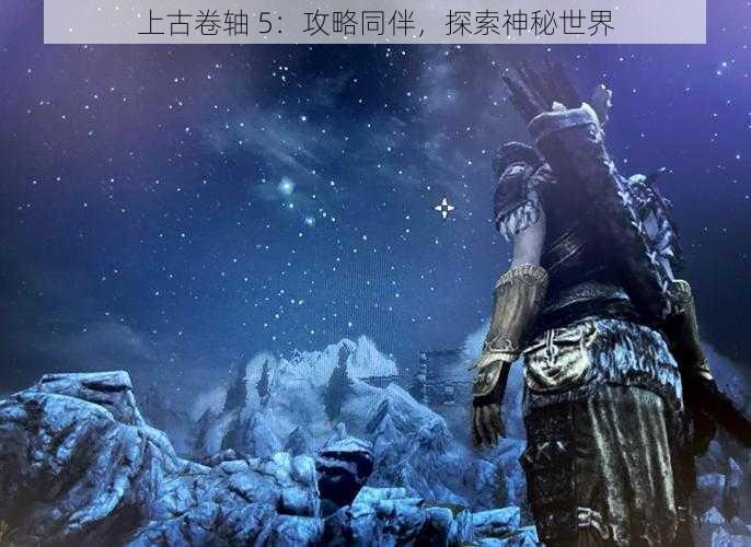 上古卷轴 5：攻略同伴，探索神秘世界