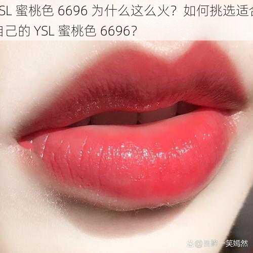 YSL 蜜桃色 6696 为什么这么火？如何挑选适合自己的 YSL 蜜桃色 6696？