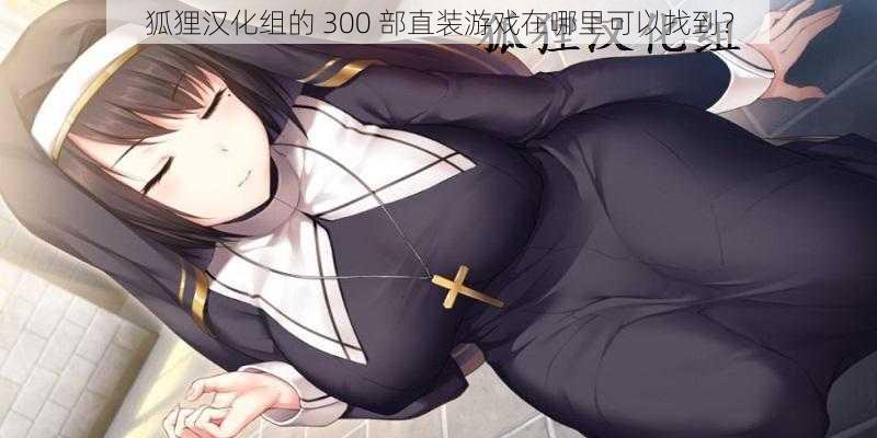 狐狸汉化组的 300 部直装游戏在哪里可以找到？