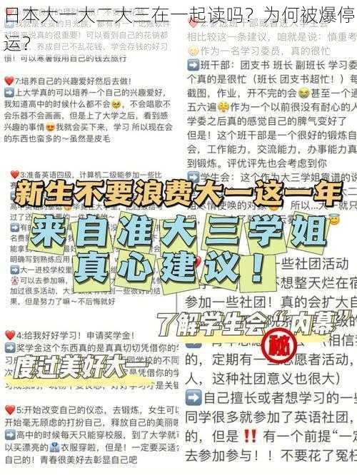 日本大一大二大三在一起读吗？为何被爆停运？