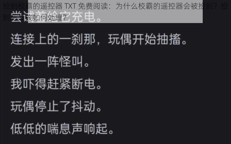 捡到校霸的遥控器 TXT 免费阅读：为什么校霸的遥控器会被捡到？捡到后又该如何处理？